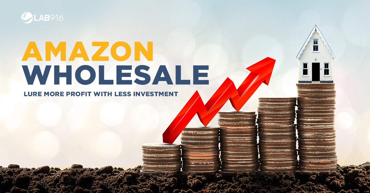 Amazon Wholesale: Lure More Profit With Less Investment