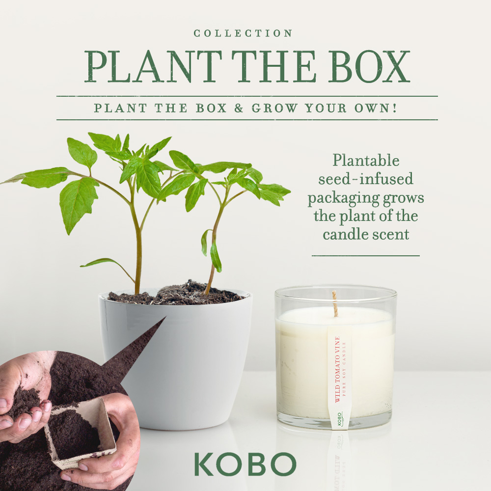 Plant the box collection